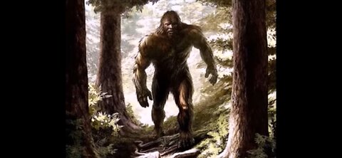 BIGFOOT PÒCKET FIELD GUIDE PT1 : ROBERT MORGAN