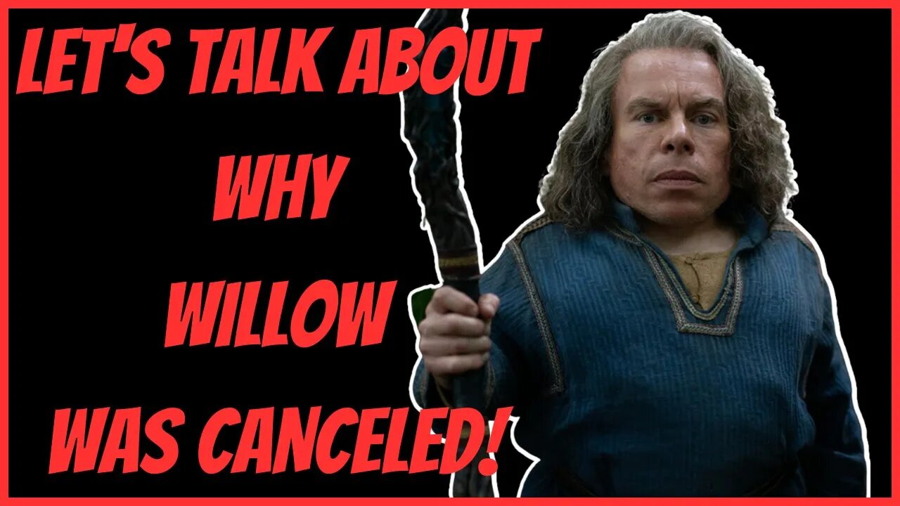 LET'S TALK ABOUT WHY WILLOW WAS CANCELED!