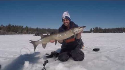 Ragazzo battaglia con un pesce gigante nel ghiaccio