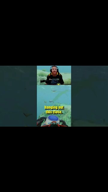 Subnautica - Who put a Reaper in the shallows #shorts