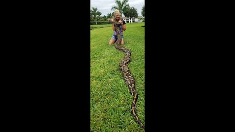 Python Huntress Amy Siewe Talks Chasing/Fighting Pythons and her Snakeskin and Snake Tour Business