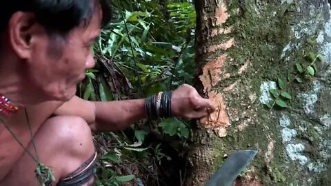 Borneo ~ Death ~ Blow ~ ~ Full Documentary