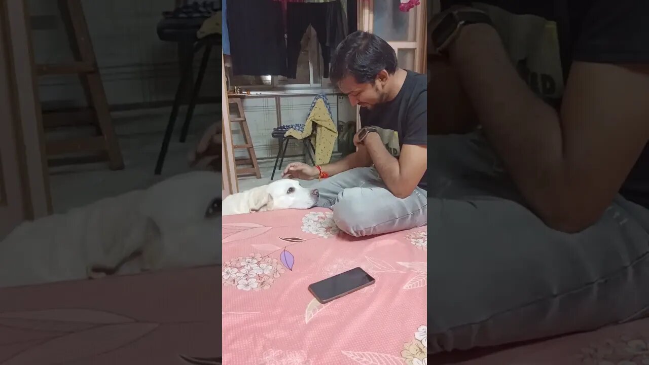 #love #dog #doglover #animals #animallover #vlog #viral #trending #jayveeru #jayveeruvlogs