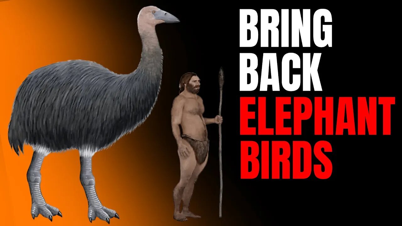 Bring Back Elephant Birds