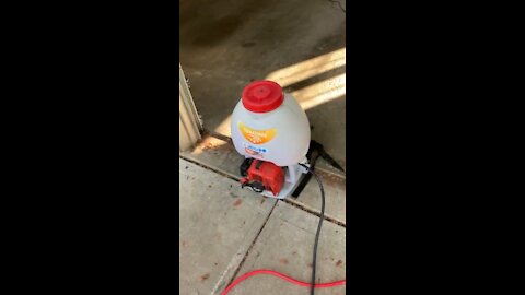 Termites don’t stand a chance.