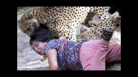 Leopard Attacks at Kruger park