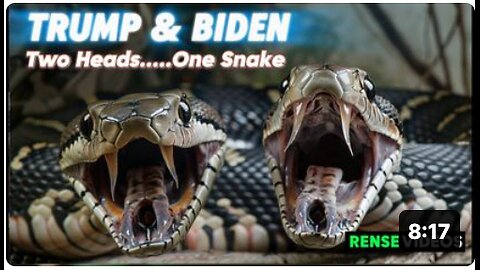 Two heads of one snake