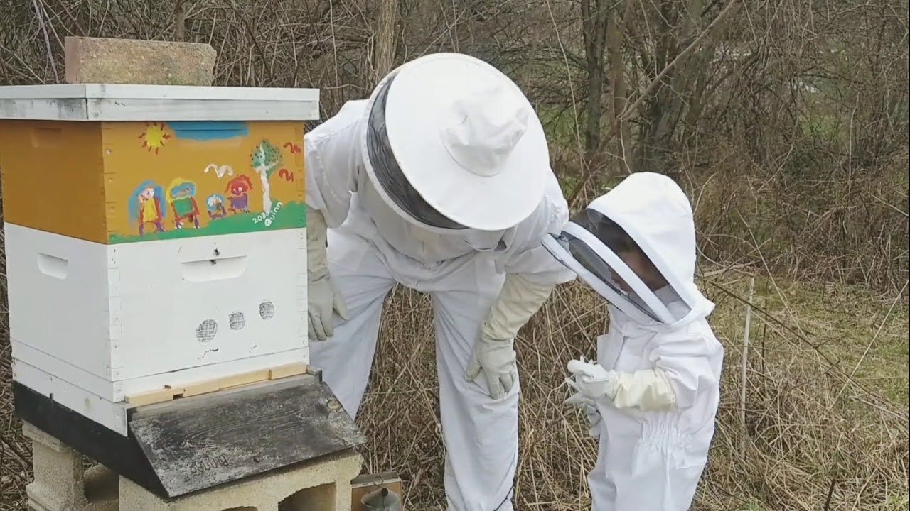 CHECKING OUR RUSSIAN BEE HIVE