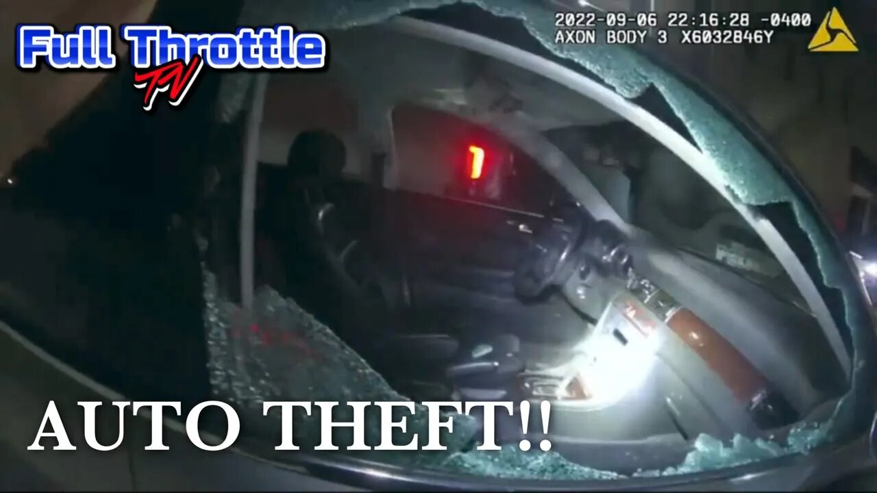 Officers Catch Theft From Auto Thieves in Action!