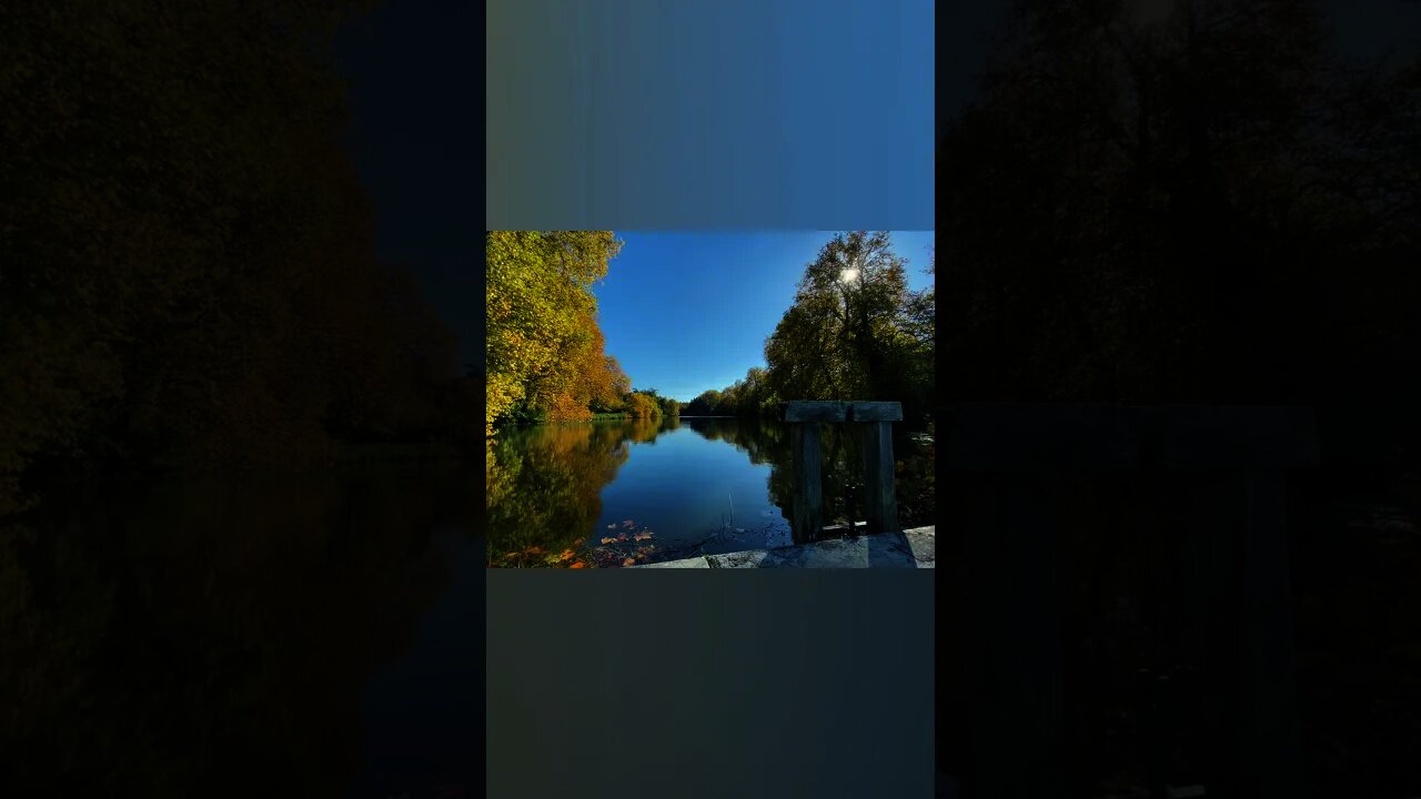 24 octobre 2021 - En forêt