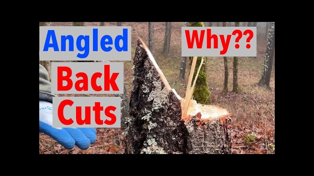 Silly Angled Back Cuts Why They Are Dangerous And Ineffective