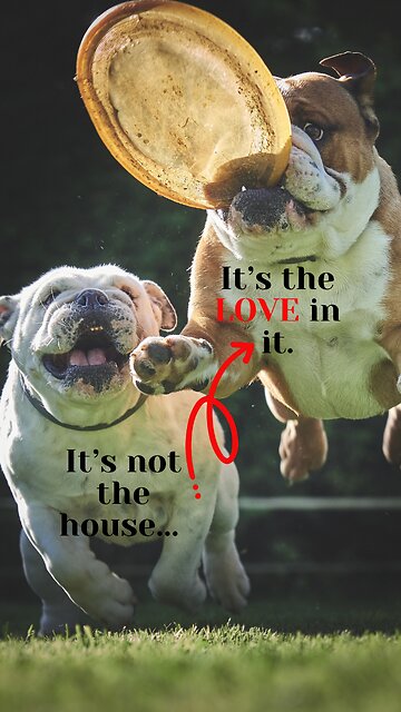 Love Over Luxury: The Importance Of A Happy Home