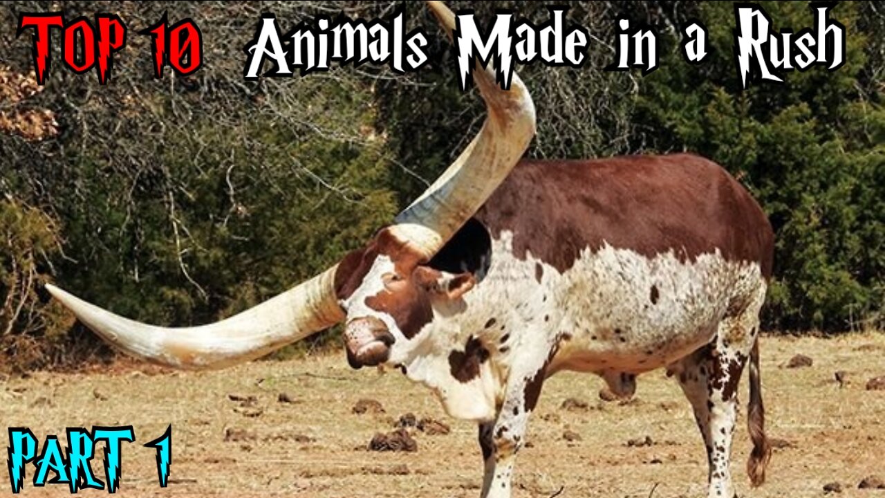 TOP 10 ANIMALS MADE IN A RUSH PART 1 || WEIRD ANIMALS || WEIRD NATURE || TRIVIA