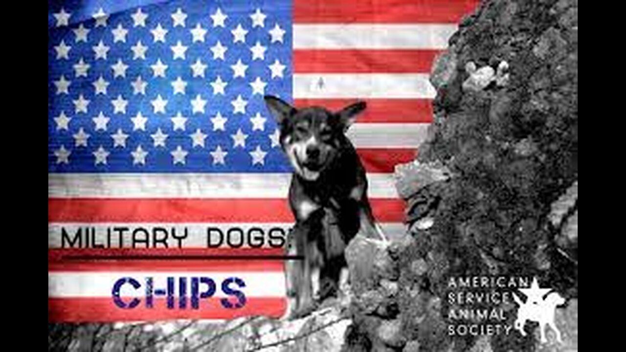 Chips: Canine Hero of WW2