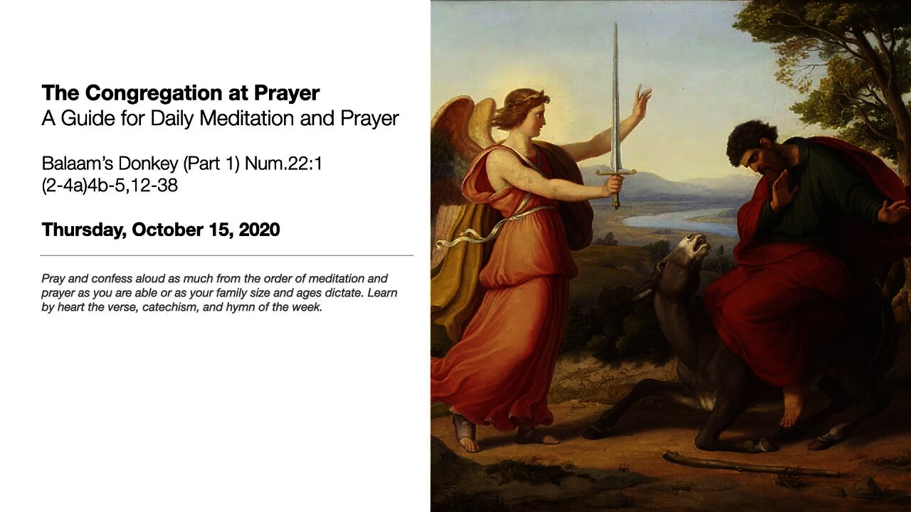 Balaam’s Donkey (Part 1) - The Congregation at Prayer for October 15, 2020
