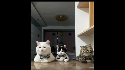 Gentlemen in Waiting: Where’s Breakfast?