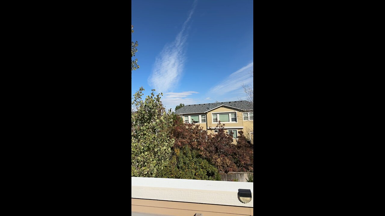 Beautiful day in the neighborhood