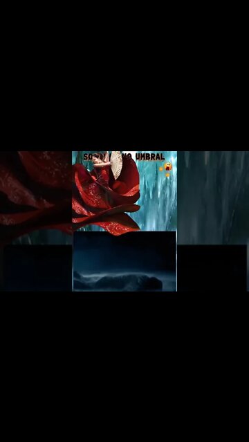 Chico Toco Preto foi parar no Umbral... #shorts