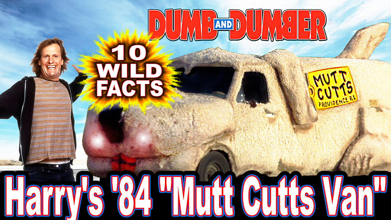 10 Wild Facts About Harry's '84 "Mutt Cutts Van" - Dumb & Dumber + To