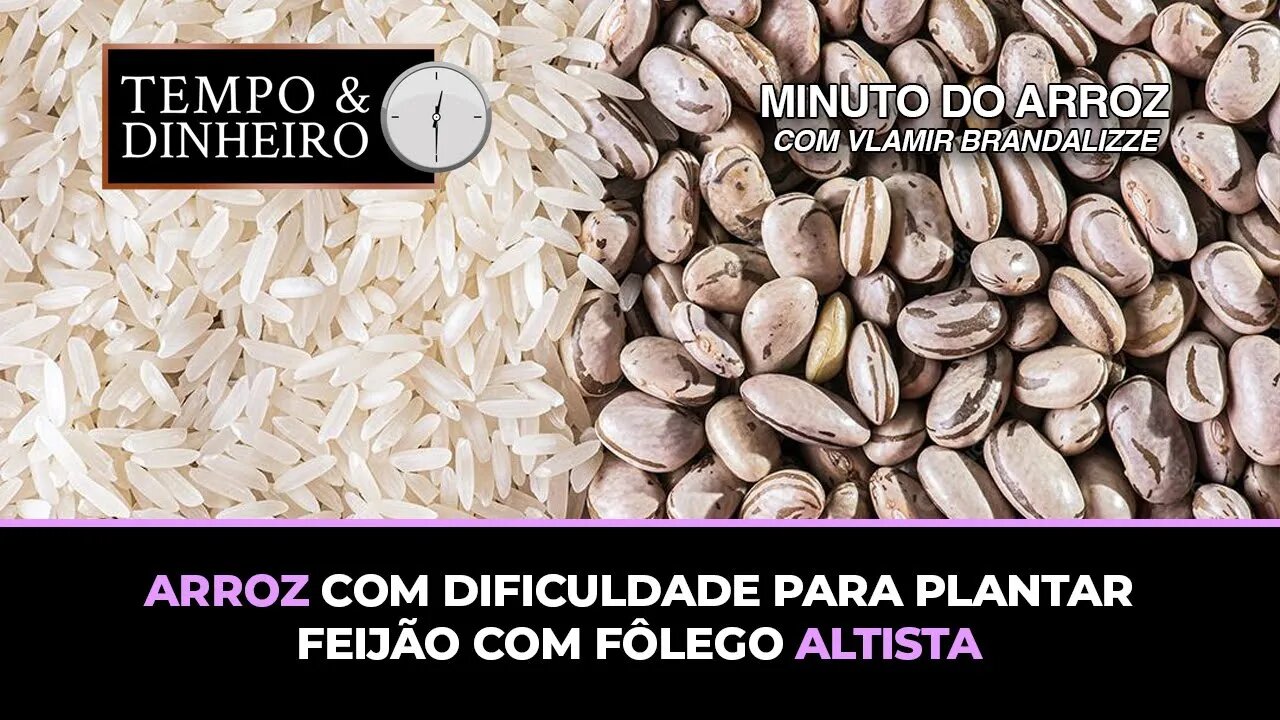 Arroz com dificuldade para plantar. Feijão com fôlego altista