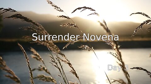 Surrender Novena - Day 3