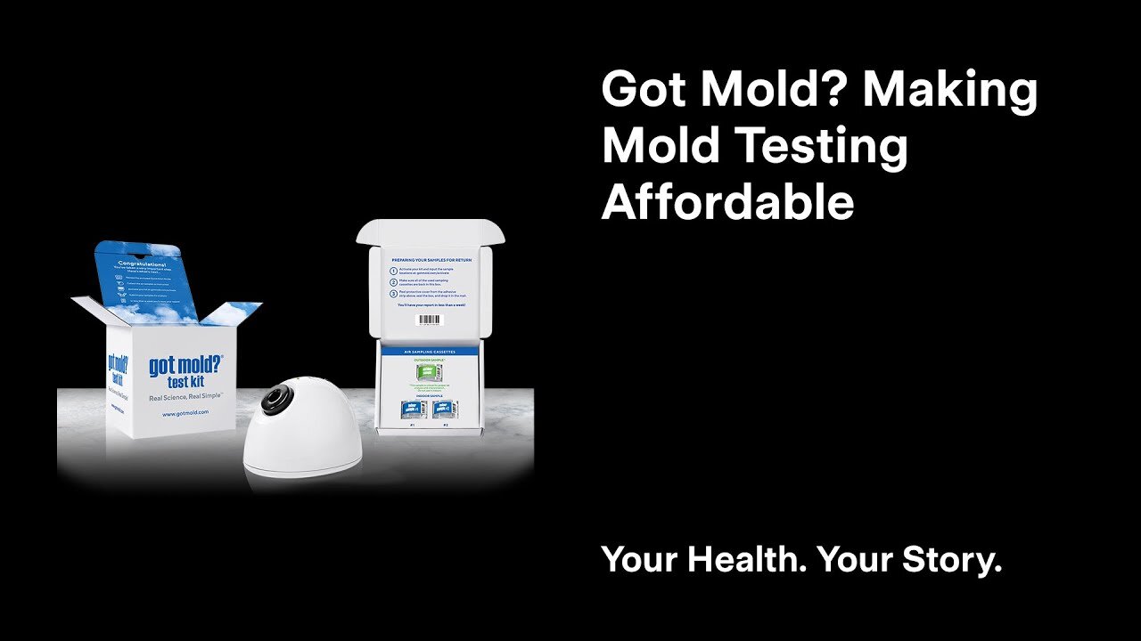 Got Mold? Making Mold Testing Affordable