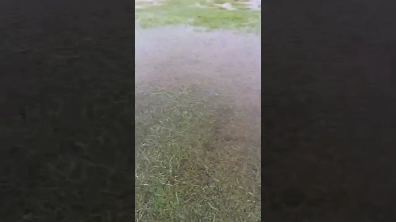 Testing lures in my front yard in HURRICANE Ian!