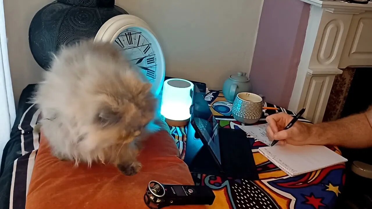 STUDY with me Day: 11 [CAT PURRS] |calm|