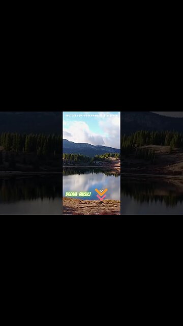 🎵 Alpha Brainwaves Bliss: Tranquil Music for Relaxation and Mental Focus (frogs and flowing WATER)