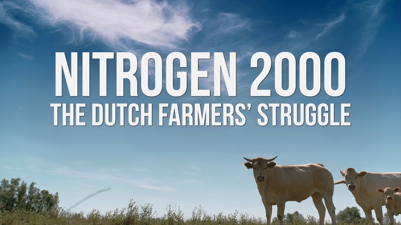 NITROGEN 2000: The Dutch Farmers' Struggle