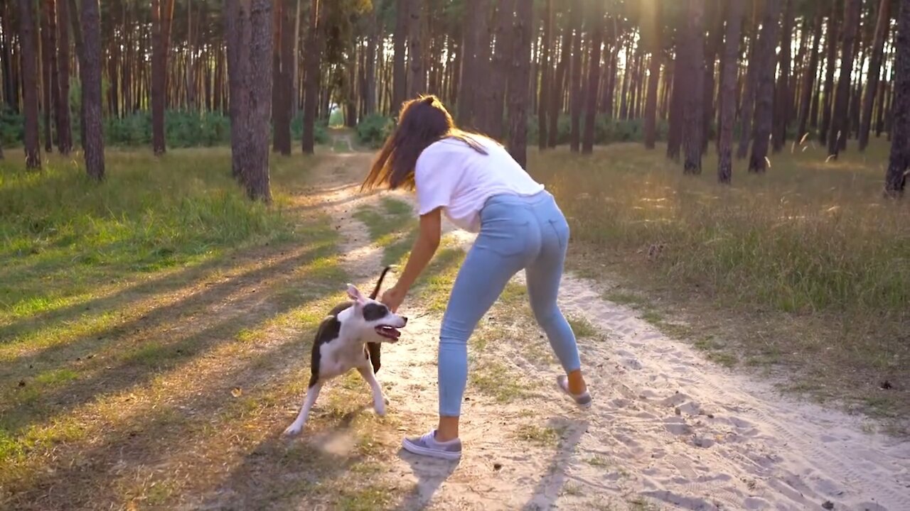 beautiful girl play with smart and cute dog life