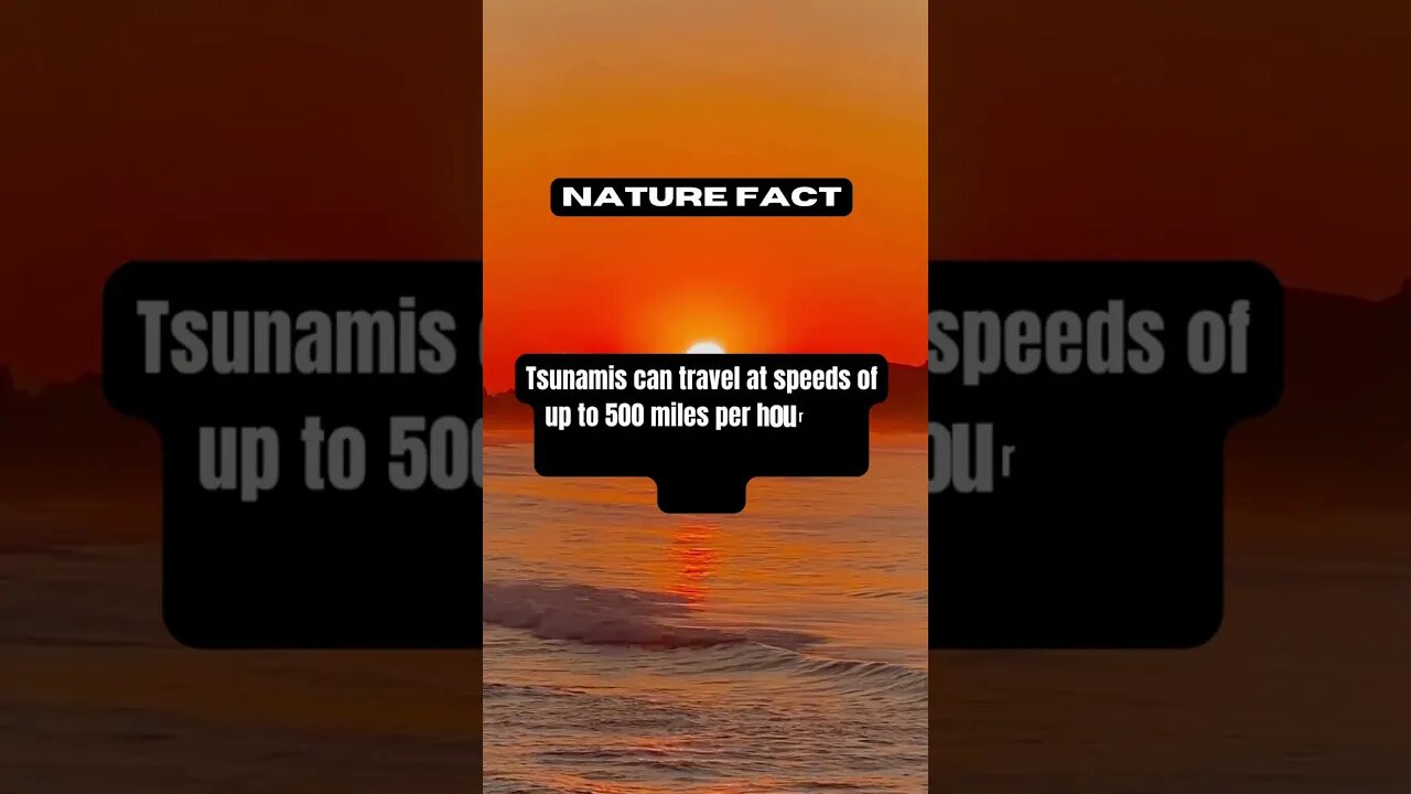 Incredible Fact! Do You Know How Fast Tsunami Goes? #shorts