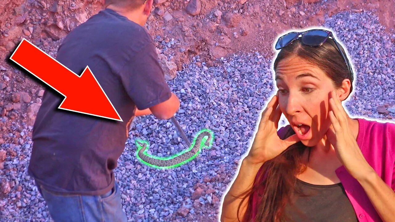 We Find A Deadly Mojave Green Rattlesnake In Our Underground Earthbag House