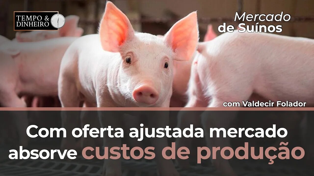 Mercado de Suínos com oferta ajustada absorve custos de produção