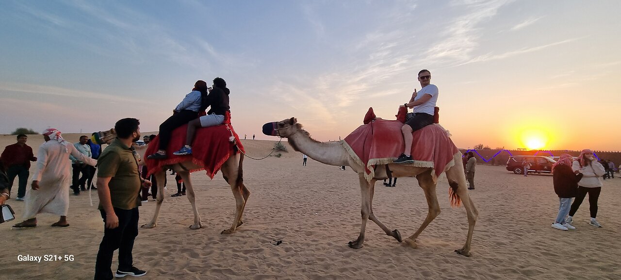 Dubai, Desert Safari