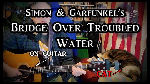 Simon & Garfunkel's Bridge Over Troubled Water on Guitar (with my cat)