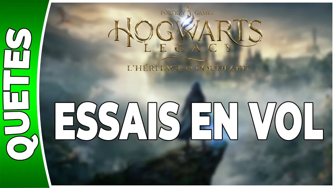 Hogwarts Legacy : l'Héritage de Poudlard - ESSAIS EN VOL - Annexe 17