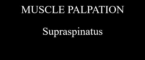 Muscle Palpation - Supraspinatus