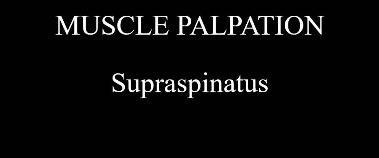 Muscle Palpation - Supraspinatus