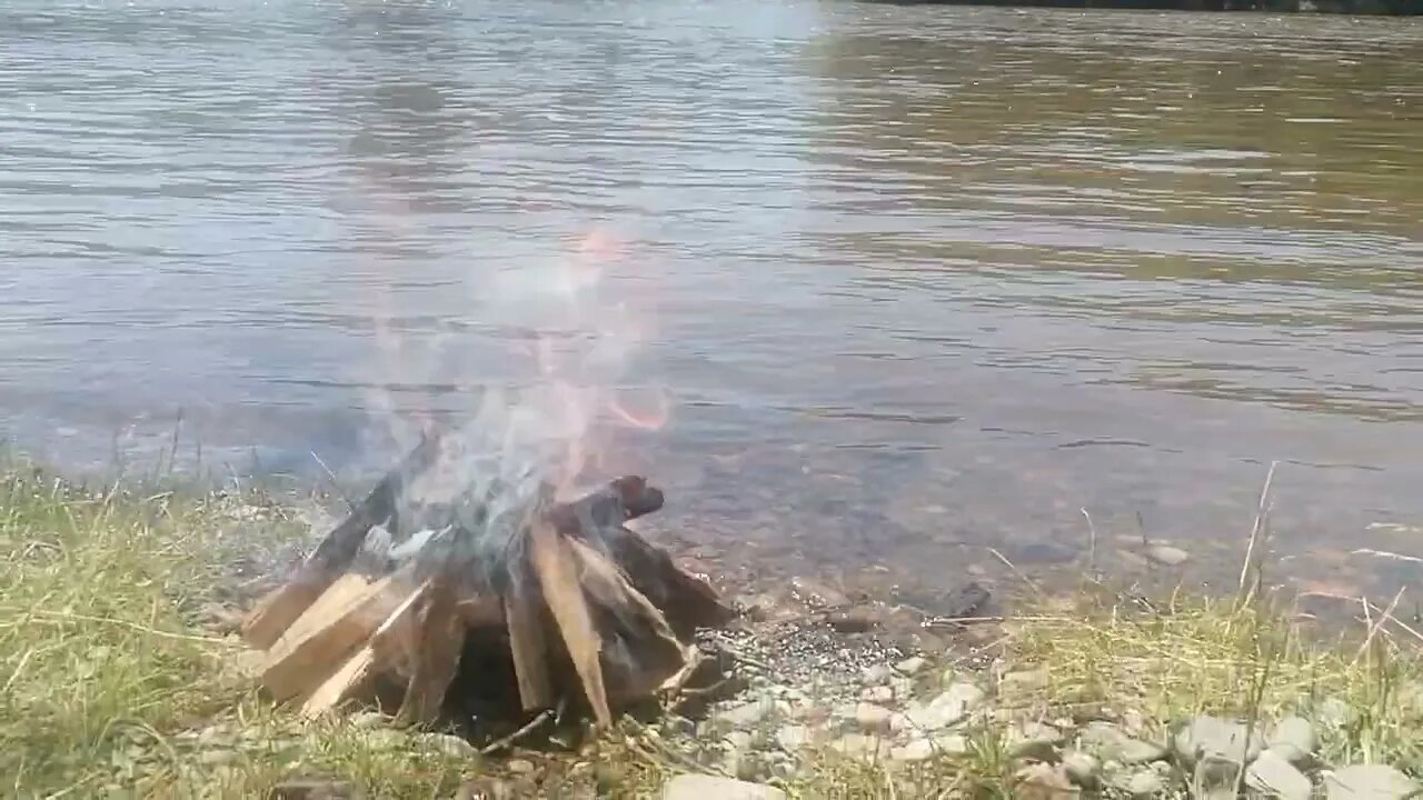 Анигилируем оферту цифровизации на всю Землю Матушку 🌏💐