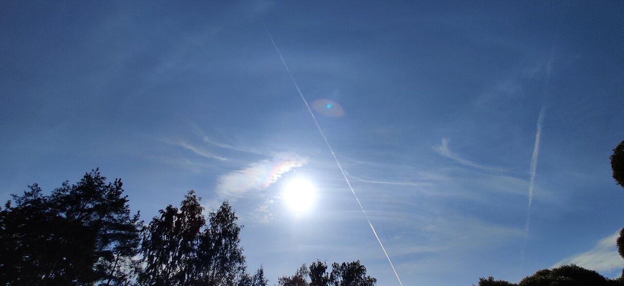 15.8.2024: White trails, halo color? sun halo, weird clouds