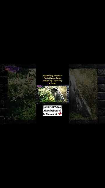 Did Beanbag Adventure Find a Human Organ ? Real Or Not ? #beanbag #sorts