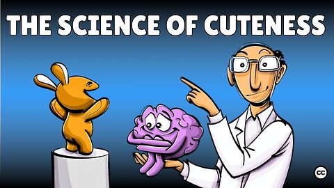 Cuteness: Can Kittens Make You Smarter?