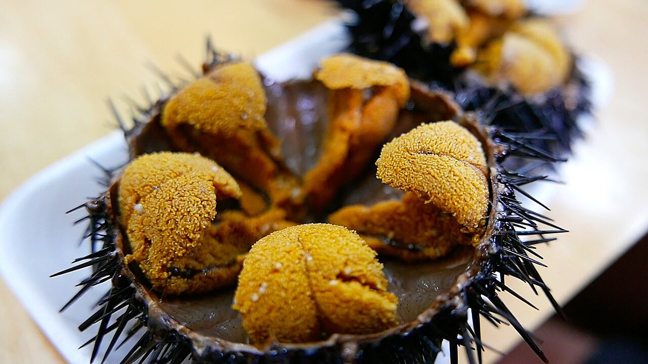 Japanese Street Food - GIANT SEA URCHIN Uni Sashimi Okinawa Hokkaido Japan Seafood