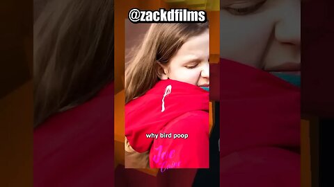Do Birds Do Oral Sex? 🤣