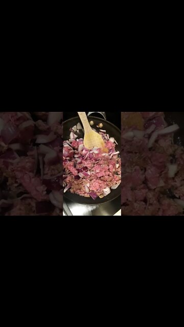 Sloppy Joes 😻🐃 #shorts