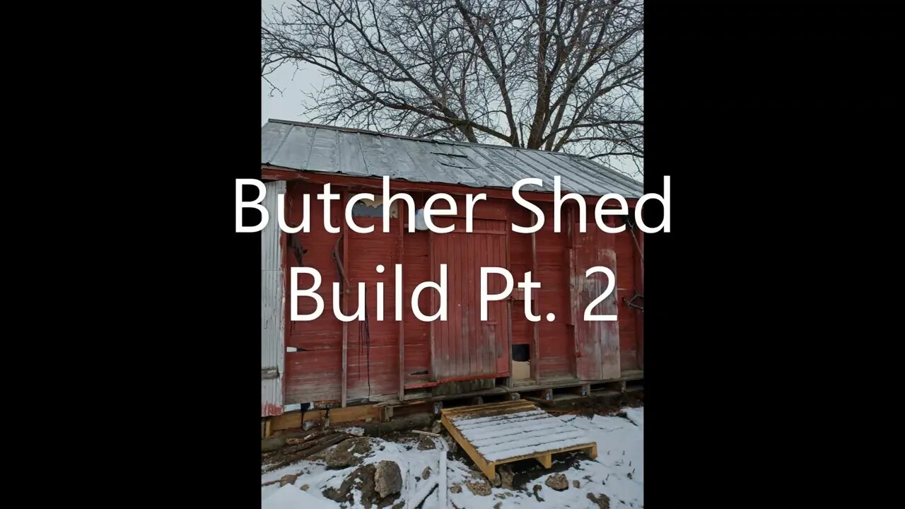 Butcher Shed Build Pt.2 DIY Walk-in cooler. No Coolbot.