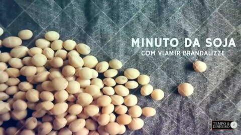 Soja com fôlego positivo apoiada pela Argentina