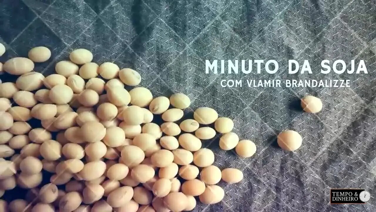 Soja com fôlego positivo apoiada pela Argentina