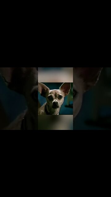 #shorts Taco Bell New Baja Gordita - Fast Food Commercial 1998